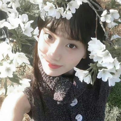 终极警报